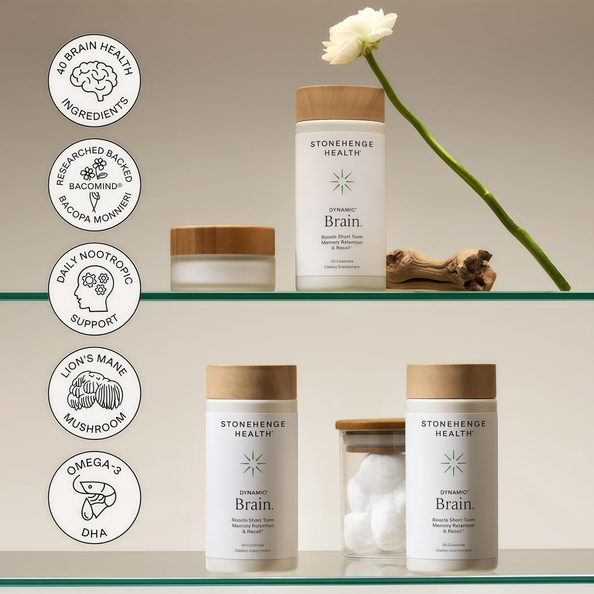 Stonehenge Health Dynamic Brain | Bacopa Supplement for Memory and Focus Brain Supplements for Memory and Focus Nootropic Retention Cognitive Support Phosphatidylserine DHA Choline Huperzine A
